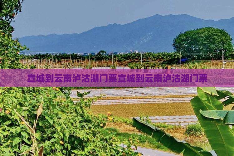 宣城到云南泸沽湖门票