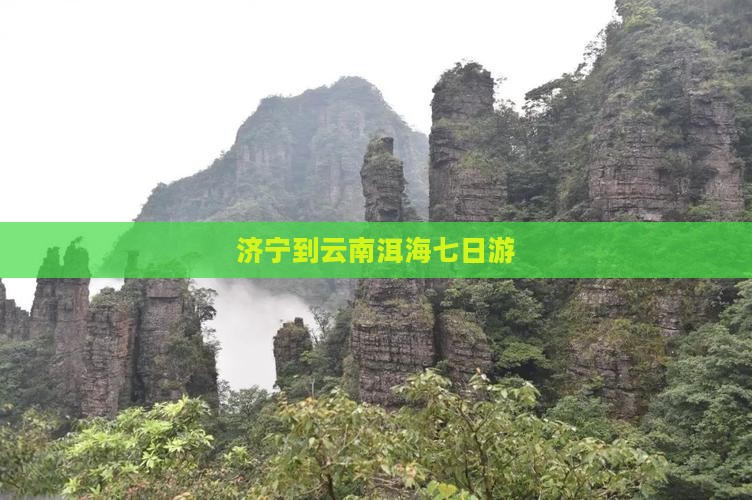 济宁到云南洱海七日游