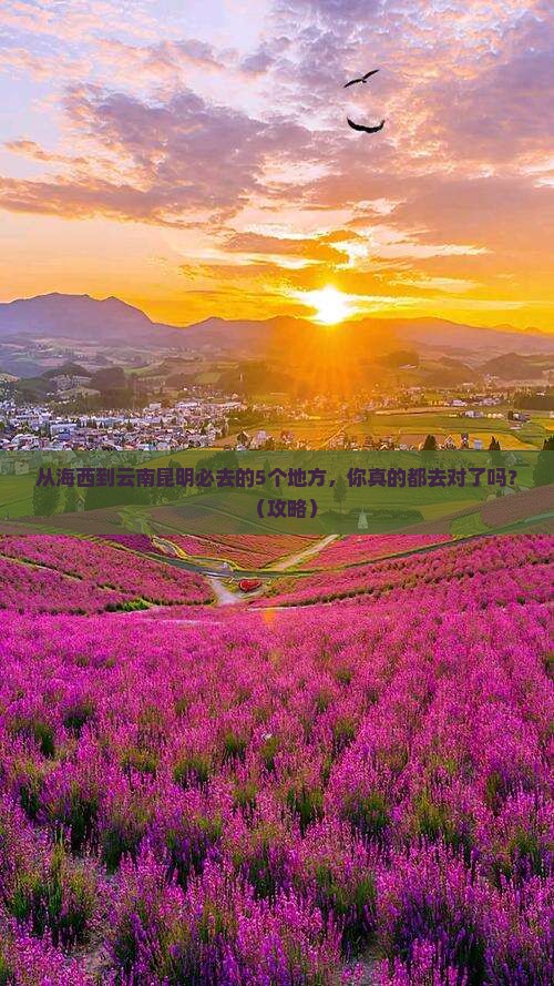 海西到云南昆明必去地