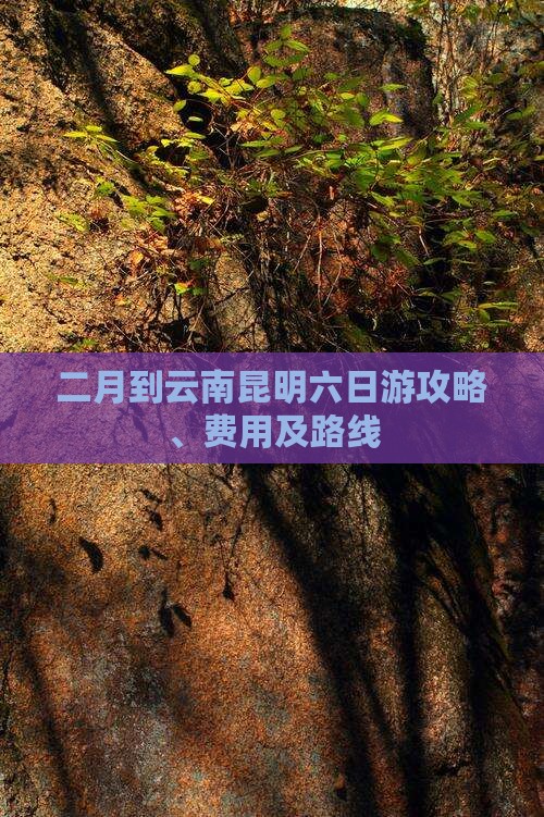 二月到云南昆明六日游