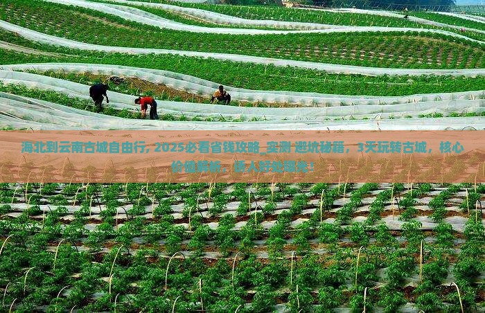海北到云南古城自由行