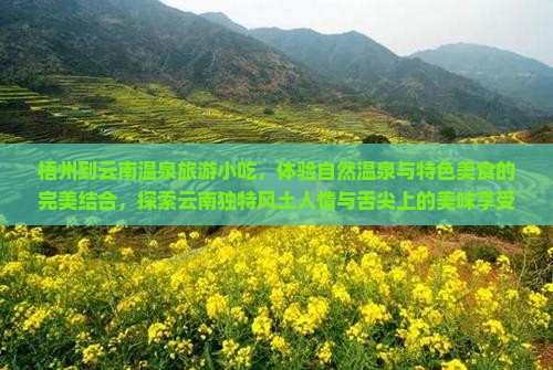 梧州到云南温泉旅游小吃