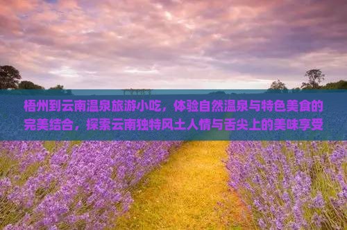 梧州到云南温泉旅游小吃