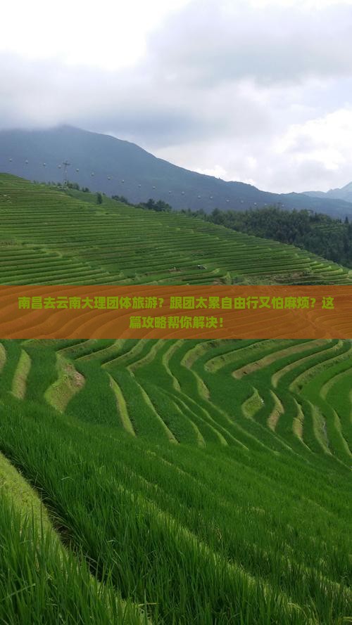 南昌去云南大理团体旅游