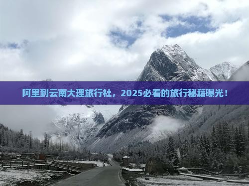 阿里到云南大理旅行社