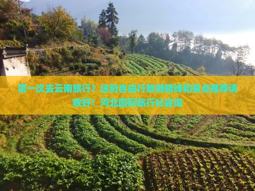 第一次去云南旅行？这份自由行旅游路线和景点推荐请收好！河北国际旅行社咨询