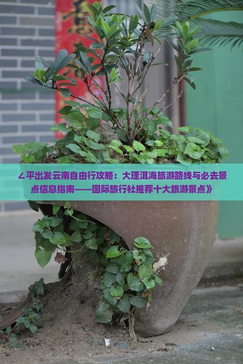 ∠平出发云南自由行攻略：大理洱海旅游路线与必去景点信息指南——国际旅行社推荐十大旅游景点》