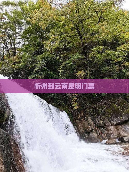 忻州到云南昆明门票