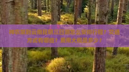 神农架到云南昆明三日游怎么安排行程？交通方式有哪些？费用大概是多少？