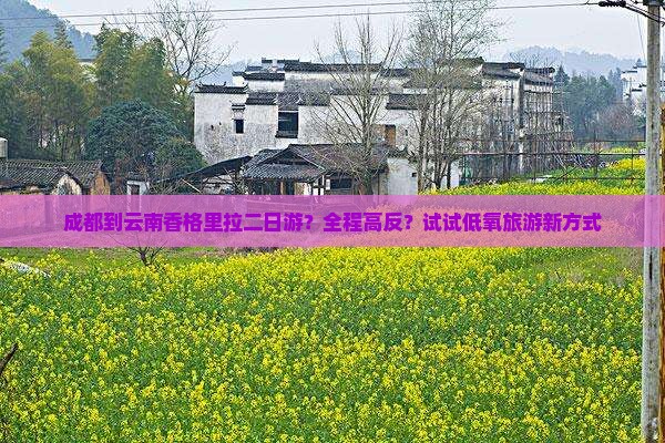 成都到云南香格里拉二日游？全程高反？试试低氧旅游新方式