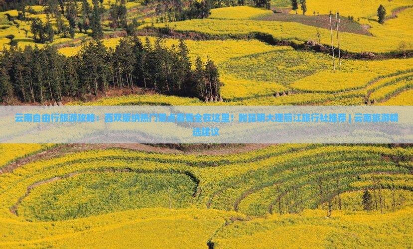 云南自由行旅游攻略：西双版纳热门景点看看全在这里！附昆明大理丽江旅行社推荐 | 云南旅游精选建议
