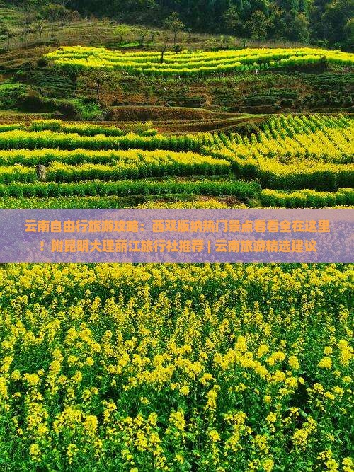 云南自由行旅游攻略：西双版纳热门景点看看全在这里！附昆明大理丽江旅行社推荐 | 云南旅游精选建议
