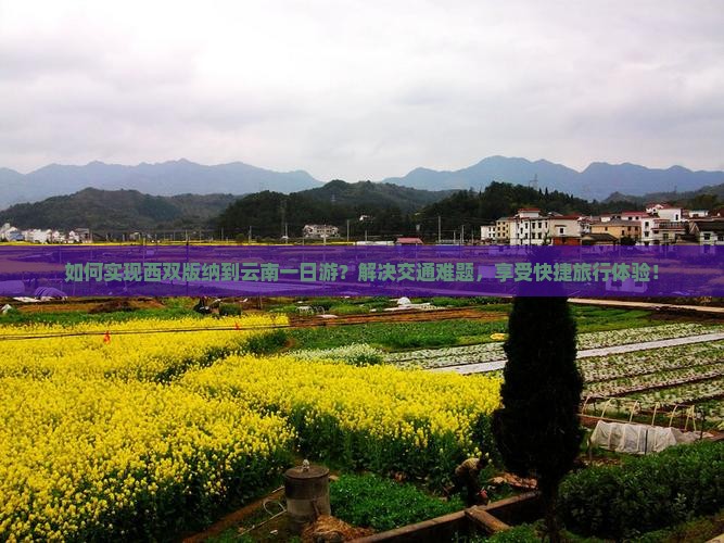 如何实现西双版纳到云南一日游？解决交通难题，享受快捷旅行体验！