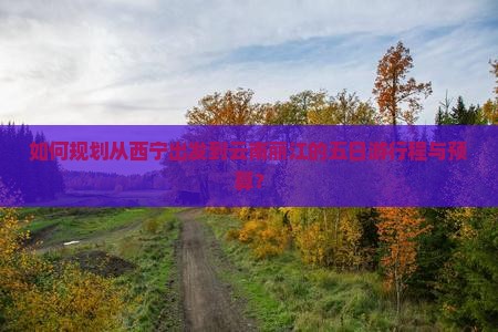如何规划从西宁出发到云南丽江的五日游行程与预算？