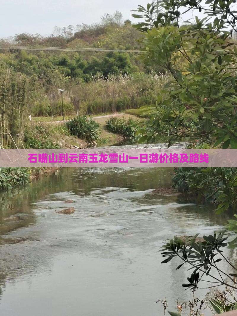 石嘴山到云南玉龙雪山一日游价格及路线