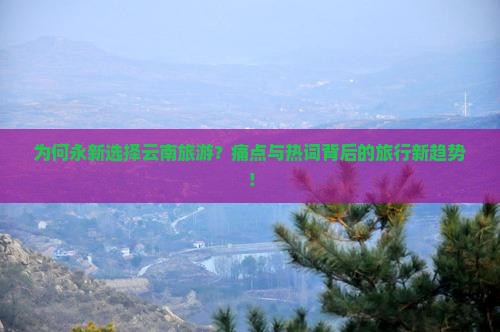 为何永新选择云南旅游？痛点与热词背后的旅行新趋势！