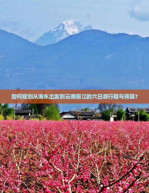 如何规划从海东出发到云南丽江的六日游行程与预算？