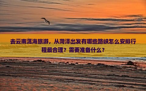 去云南洱海旅游，从菏泽出发有哪些路峡怎么安排行程最合理？需要准备什么？