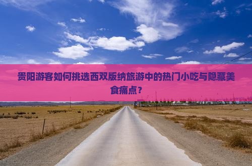 贵阳游客如何挑选西双版纳旅游中的热门小吃与隐藏美食痛点？
