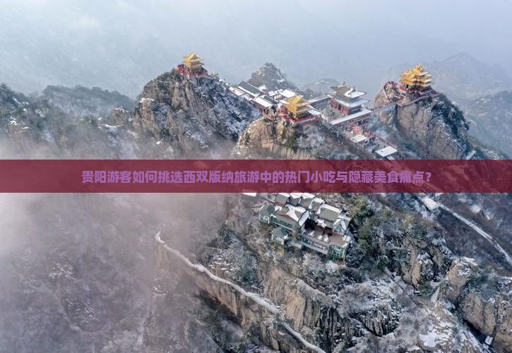 贵阳游客如何挑选西双版纳旅游中的热门小吃与隐藏美食痛点？