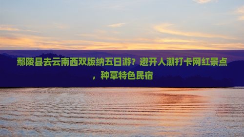 鄢陵县去云南西双版纳五日游？避开人潮打卡网红景点，种草特色民宿
