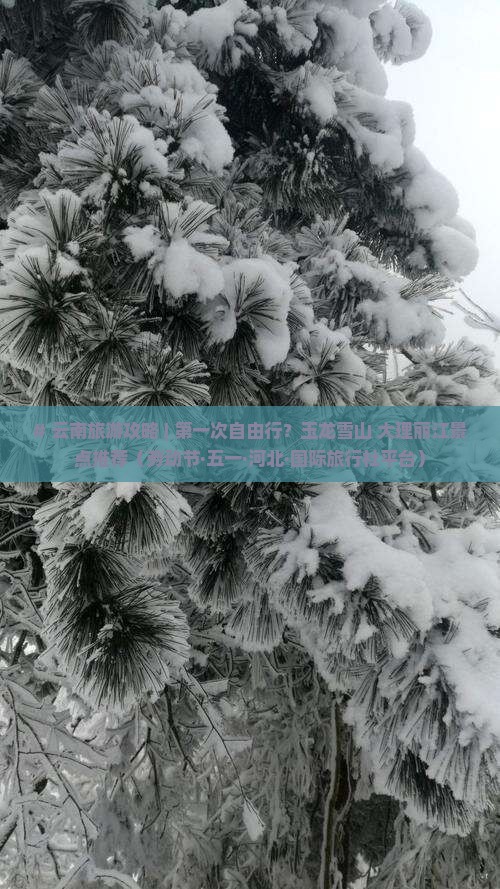 # 云南旅游攻略 | 第一次自由行？玉龙雪山+大理丽江景点推荐（劳动节·五一·河北·国际旅行社平台）