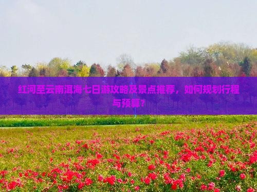 红河至云南洱海七日游攻略及景点推荐，如何规划行程与预算？