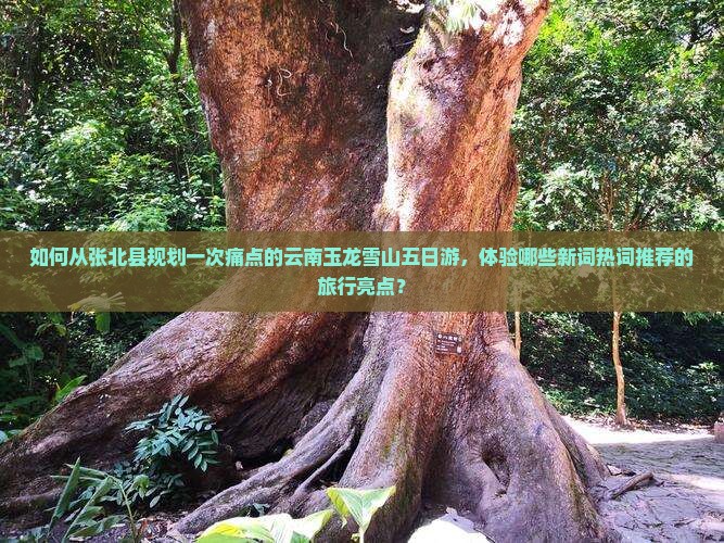 如何从张北县规划一次痛点的云南玉龙雪山五日游，体验哪些新词热词推荐的旅行亮点？