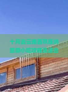 十月去云南西双版纳旅游小吃攻略及适合游玩分析