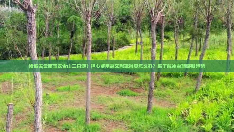 诸城去云南玉龙雪山二日游？担心费用高又想玩得爽怎么办？来了解冰雪旅游新趋势