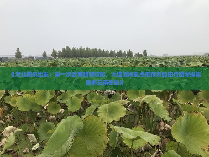 《河北阳泉出发：第一次云南旅游攻略，大理洱海景点推荐及自由行路犀探索更多云南美景》