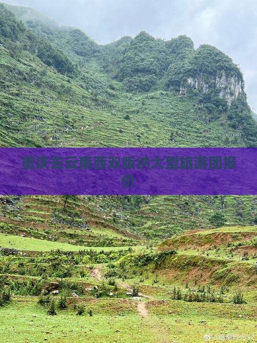 重庆去云南西双版纳大型旅游团报价