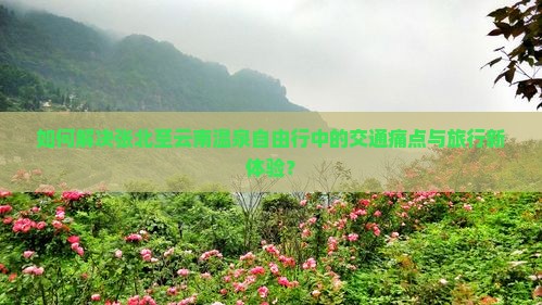 如何解决张北至云南温泉自由行中的交通痛点与旅行新体验？