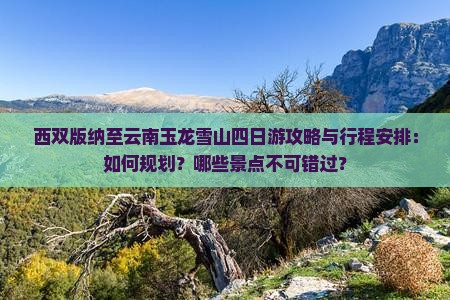 西双版纳至云南玉龙雪山四日游攻略与行程安排：如何规划？哪些景点不可错过？