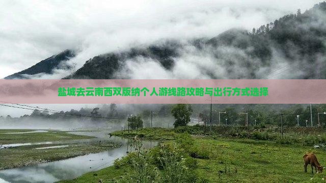 盐城去云南西双版纳个人游线路攻略与出行方式选择