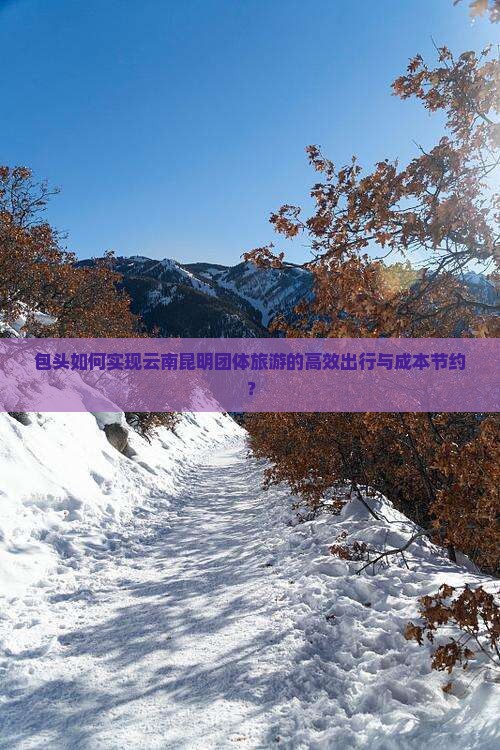 包头如何实现云南昆明团体旅游的高效出行与成本节约？