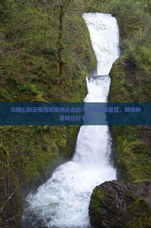 马鞍山到云南西双版纳必去地？避开旅游雷区，解锁种草网红打卡地