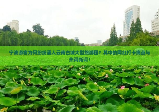 宁波游客为何纷纷涌入云南古城大型旅游团？其中的网红打卡痛点与热词新词！