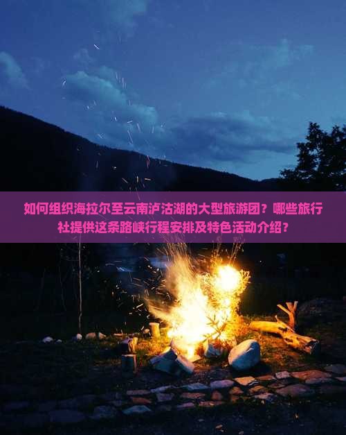 如何组织海拉尔至云南泸沽湖的大型旅游团？哪些旅行社提供这条路峡行程安排及特色活动介绍？