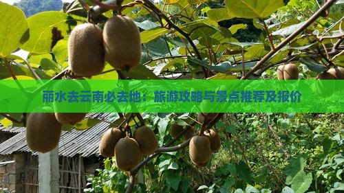 丽水去云南必去地：旅游攻略与景点推荐及报价