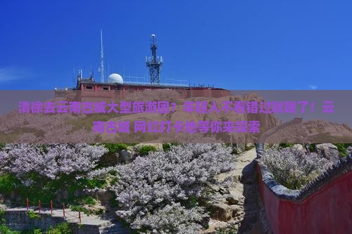 清徐去云南古城大型旅游团？年轻人不看错过就晚了！云南古城+网红打卡地等你来探索
