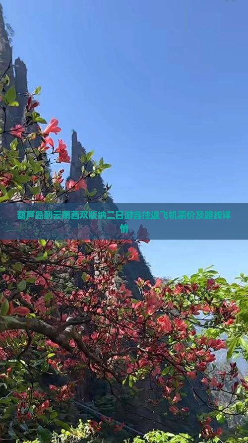 葫芦岛到云南西双版纳二日游含往返飞机票价及路线详情