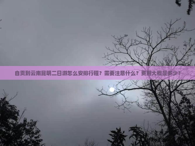 自贡到云南昆明二日游怎么安排行程？需要注意什么？费用大概是多少？