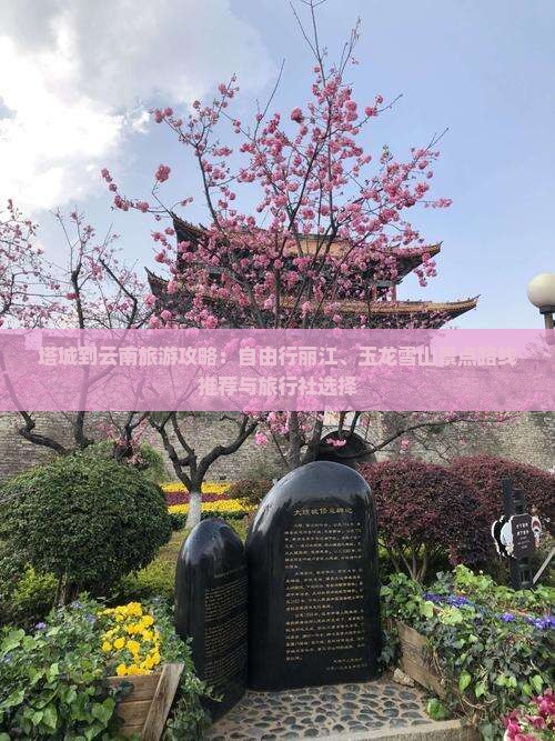 塔城到云南旅游攻略：自由行丽江、玉龙雪山景点路线推荐与旅行社选择