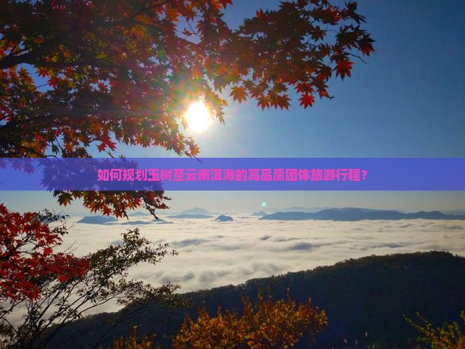 如何规划玉树至云南洱海的高品质团体旅游行程？
