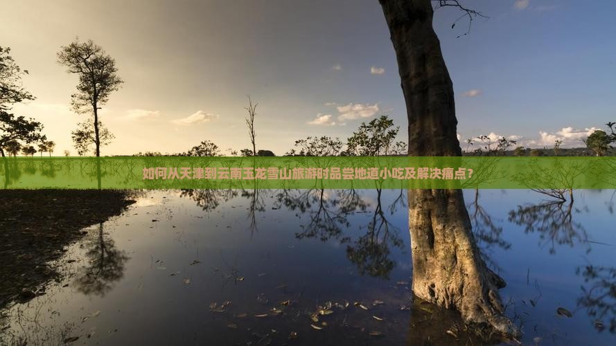 如何从天津到云南玉龙雪山旅游时品尝地道小吃及解决痛点? 如何从天津到云南玉龙雪山旅游时品尝地道小吃及解决痛点?
