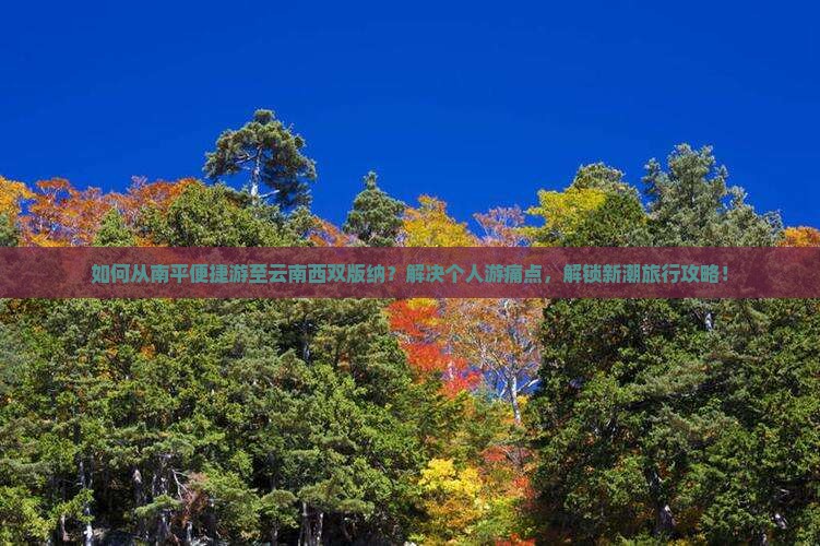 如何从南平便捷游至云南西双版纳？解决个人游痛点，解锁新潮旅行攻略！