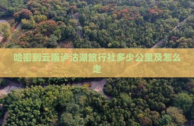 哈密到云南泸沽湖旅行社多少公里及怎么走