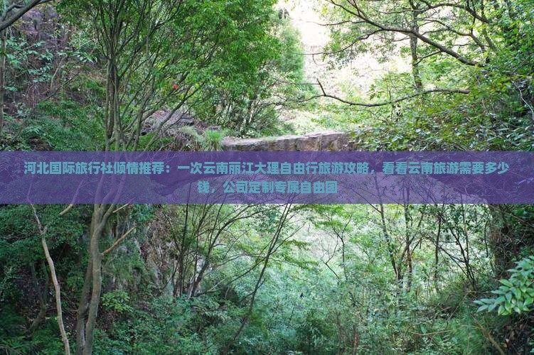 河北国际旅行社倾情推荐：一次云南丽江大理自由行旅游攻略，看看云南旅游需要多少钱，公司定制专属自由团