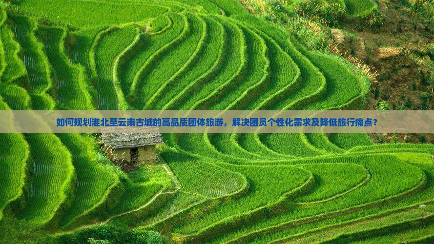 如何规划淮北至云南古城的高品质团体旅游，解决团员个性化需求及降低旅行痛点？
